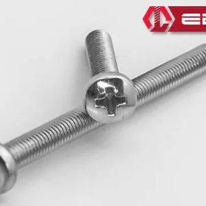 Yuvarlak Yıldız Başlı Ysb Civata M6x10 - 10 Adet